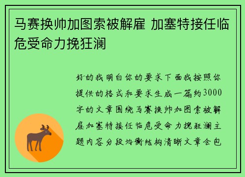 马赛换帅加图索被解雇 加塞特接任临危受命力挽狂澜